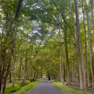 Joe Palaia Park Addition - Oakhurst, NJ