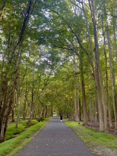Joe Palaia Park Addition - Oakhurst, NJ
