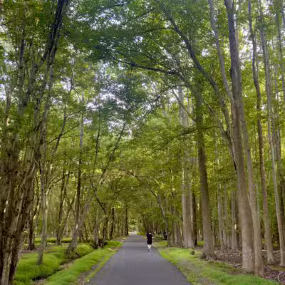 Joe Palaia Park Addition - Oakhurst, NJ