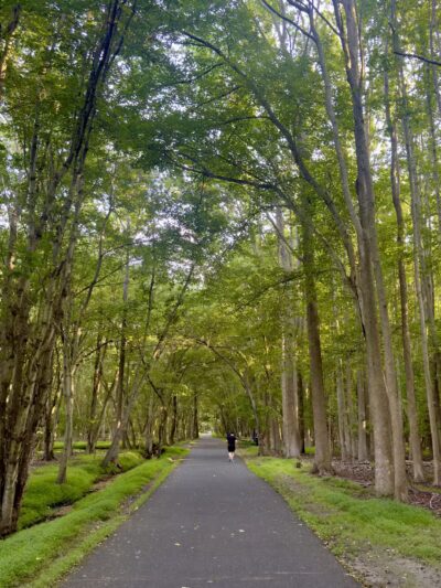 Joe Palaia Park Addition - Oakhurst, NJ
