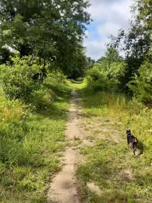 Weltz Conservation Area - Oakhurst, NJ