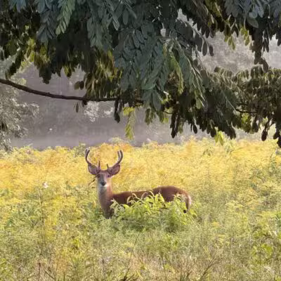 Weltz Conservation Area - Oakhurst, NJ
