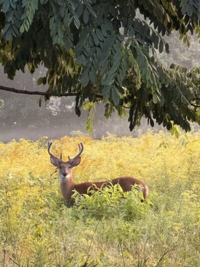 Weltz Conservation Area - Oakhurst, NJ