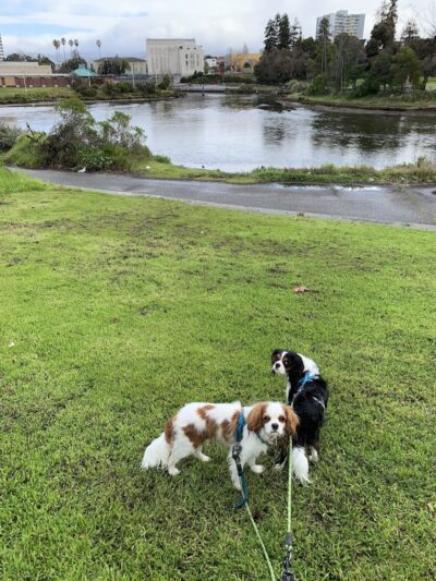 Channel Park - Oakland, CA