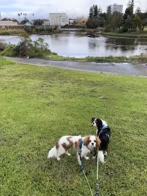 Channel Park - Oakland, CA