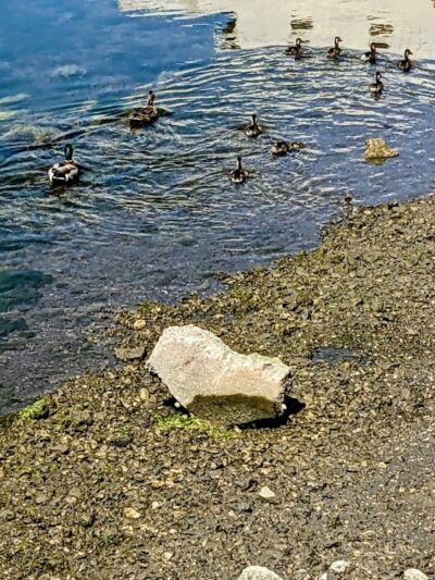 Channel Park - Oakland, CA