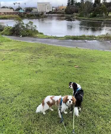 Channel Park - Oakland, CA