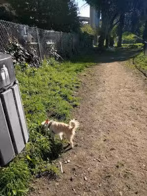Grove Shafter Park - Oakland, CA