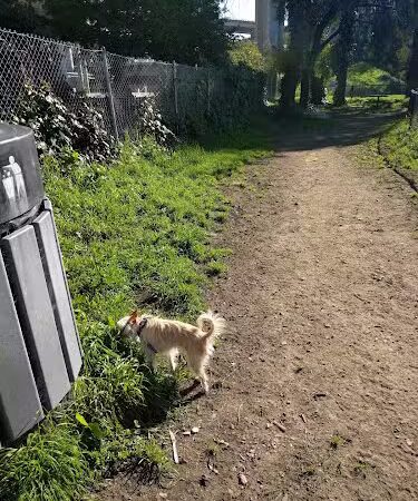 Grove Shafter Park - Oakland, CA