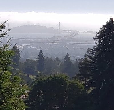 Sunflower Path - Oakland, CA
