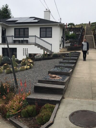 Sunflower Path - Oakland, CA