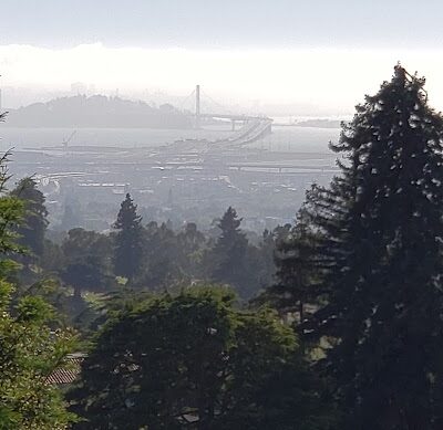 Sunflower Path - Oakland, CA