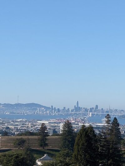 Sunflower Path - Oakland, CA