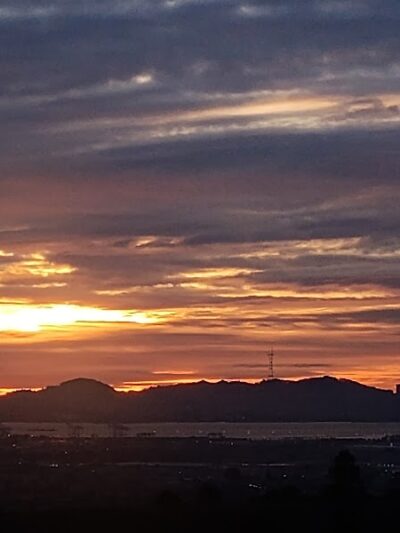 Sunflower Path - Oakland, CA