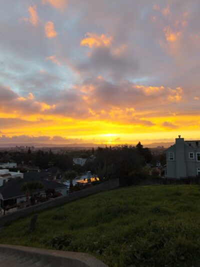 Sunflower Path - Oakland, CA