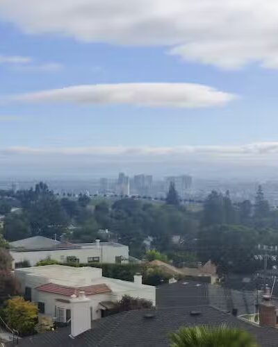 Sunflower Path - Oakland, CA