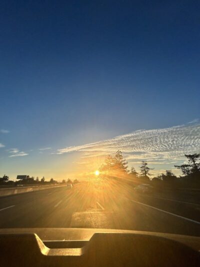 Ayala Park - Oakland, CA