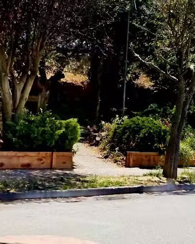 Ayala Park - Oakland, CA