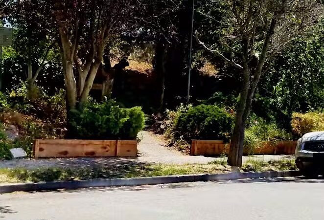 Ayala Park - Oakland, CA