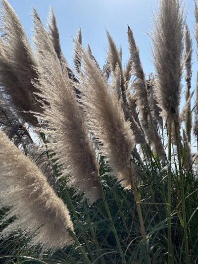 Bay Bridge Bike Trail - Oakland, CA