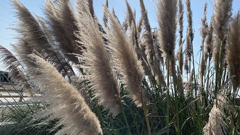 Bay Bridge Bike Trail - Oakland, CA