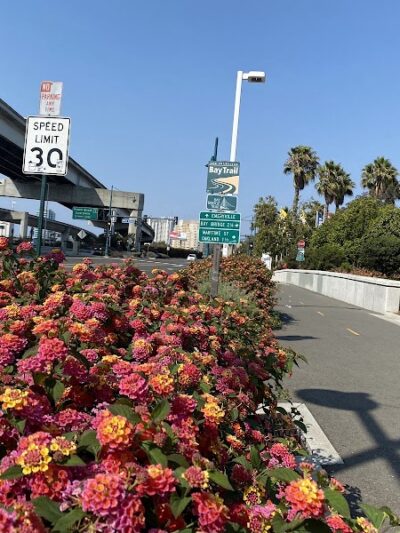Bay Bridge Bike Trail - Oakland, CA