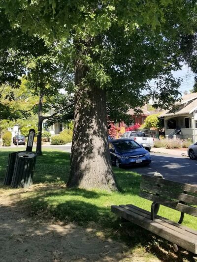 Colby Park - Oakland, CA