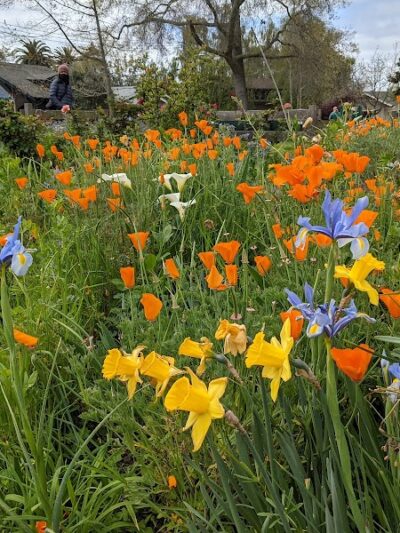 Colby Park - Oakland, CA