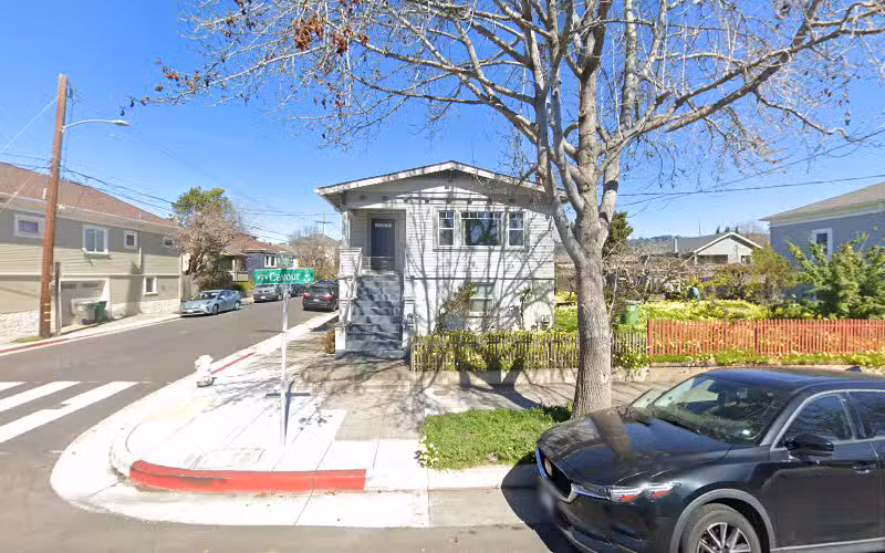 Dog Gone Walking - Oakland, CA