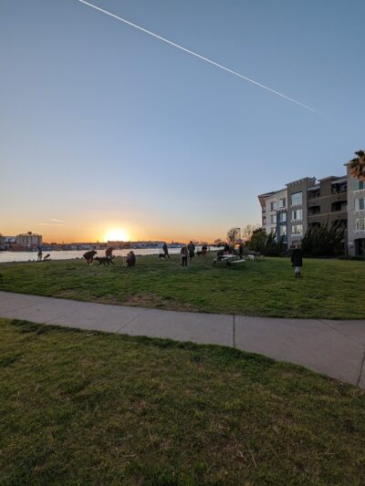 Dog Play Area at The Landing - Oakland, CA