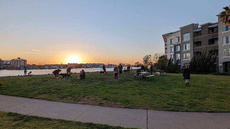 Dog Play Area at The Landing - Oakland, CA