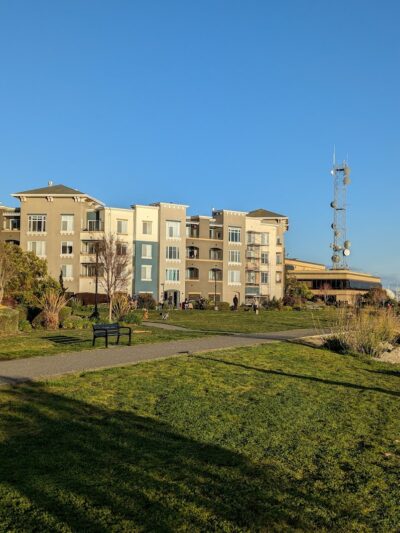 Dog Play Area at The Landing - Oakland, CA