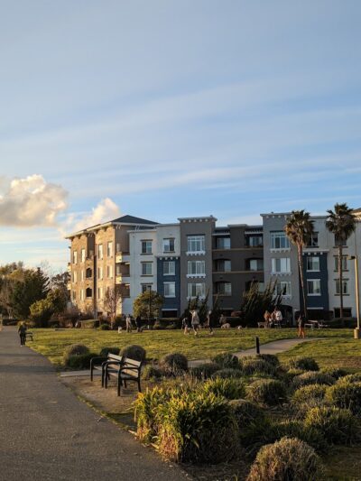 Dog Play Area at The Landing - Oakland, CA