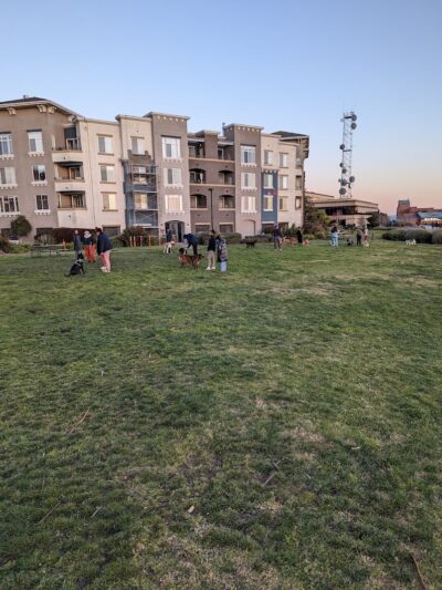 Dog Play Area at The Landing - Oakland, CA
