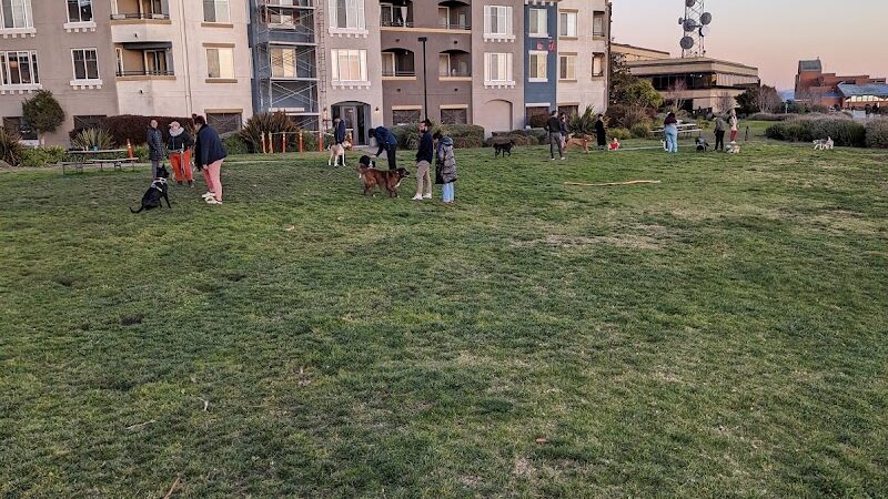 Dog Play Area at The Landing - Oakland, CA