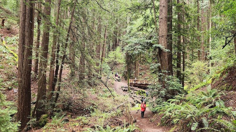 Dunn Trail - Oakland, CA