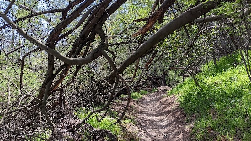 Dunn Trail - Oakland, CA