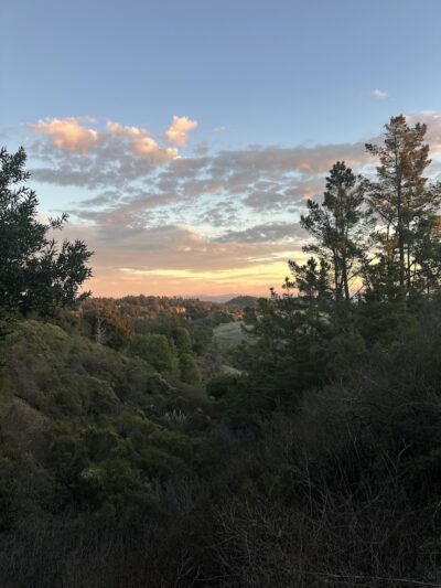 Dunn Trail - Oakland, CA