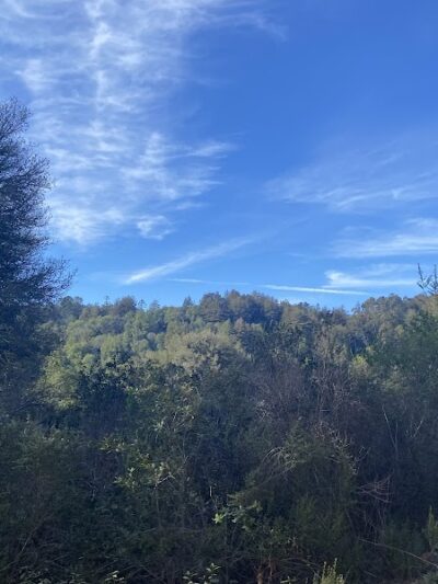 Dunn Trail - Oakland, CA