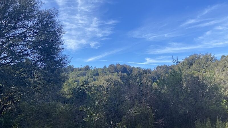 Dunn Trail - Oakland, CA