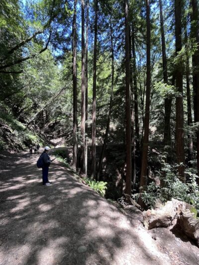 Dunn Trail - Oakland, CA