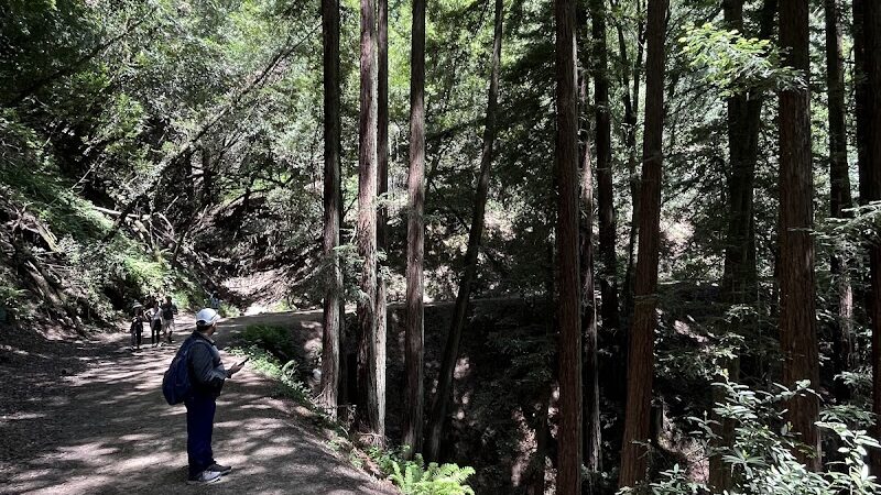 Dunn Trail - Oakland, CA