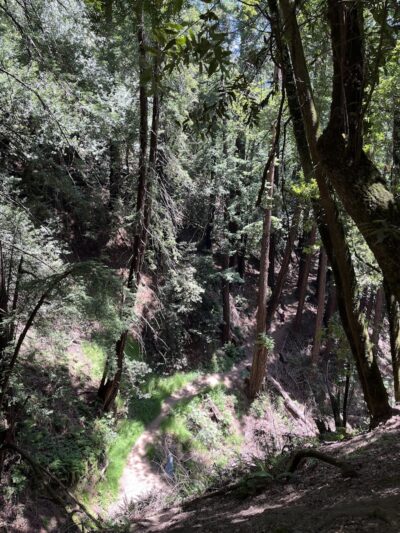 Dunn Trail - Oakland, CA