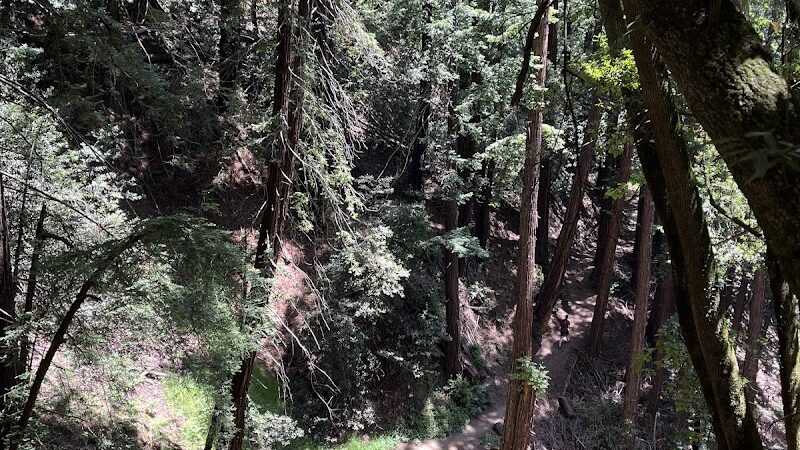 Dunn Trail - Oakland, CA