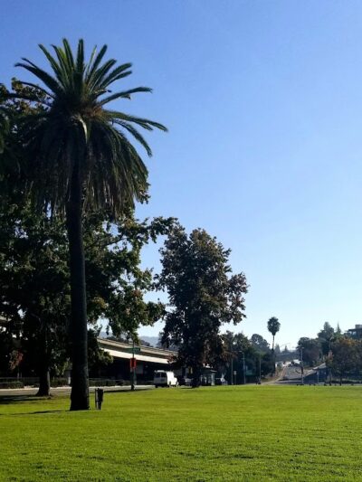 Eastshore Park - Oakland, CA