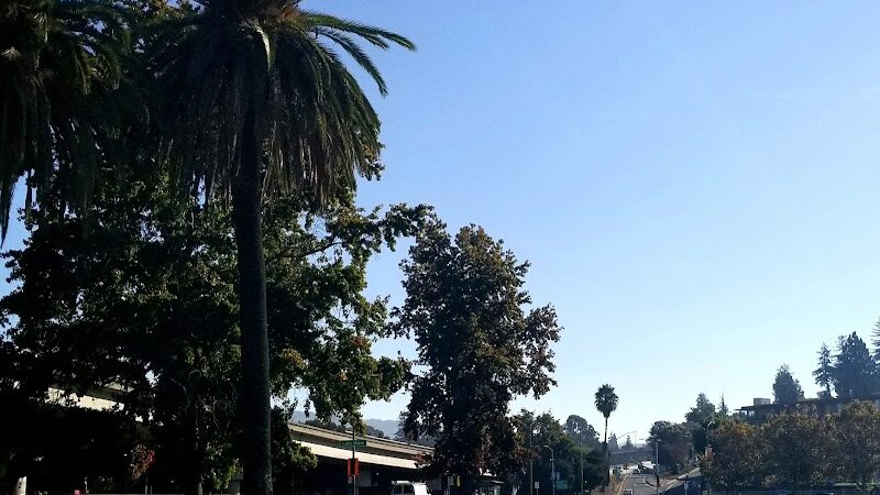 Eastshore Park - Oakland, CA