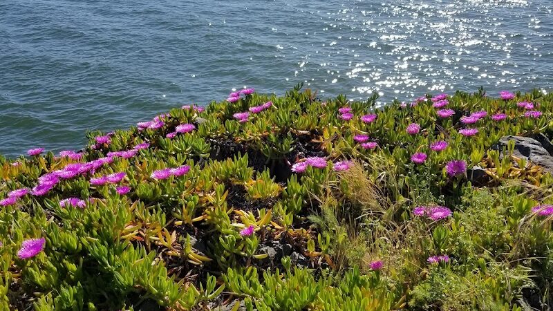 Estuary Park - Oakland, CA