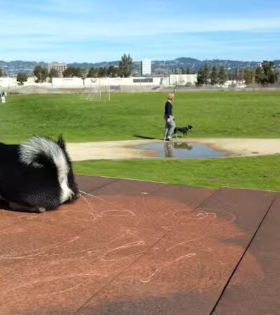 Estuary Park - Oakland, CA