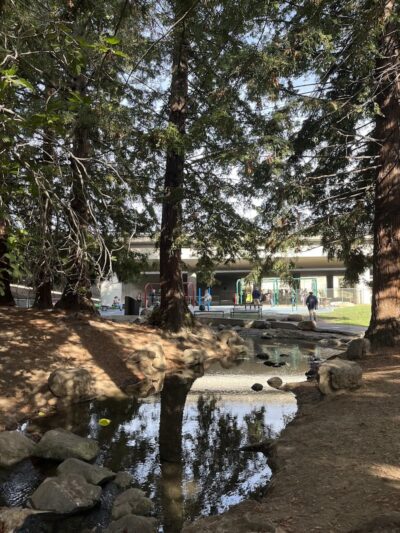 Frog Park - Oakland, CA