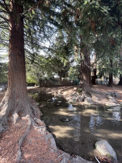 Frog Park - Oakland, CA